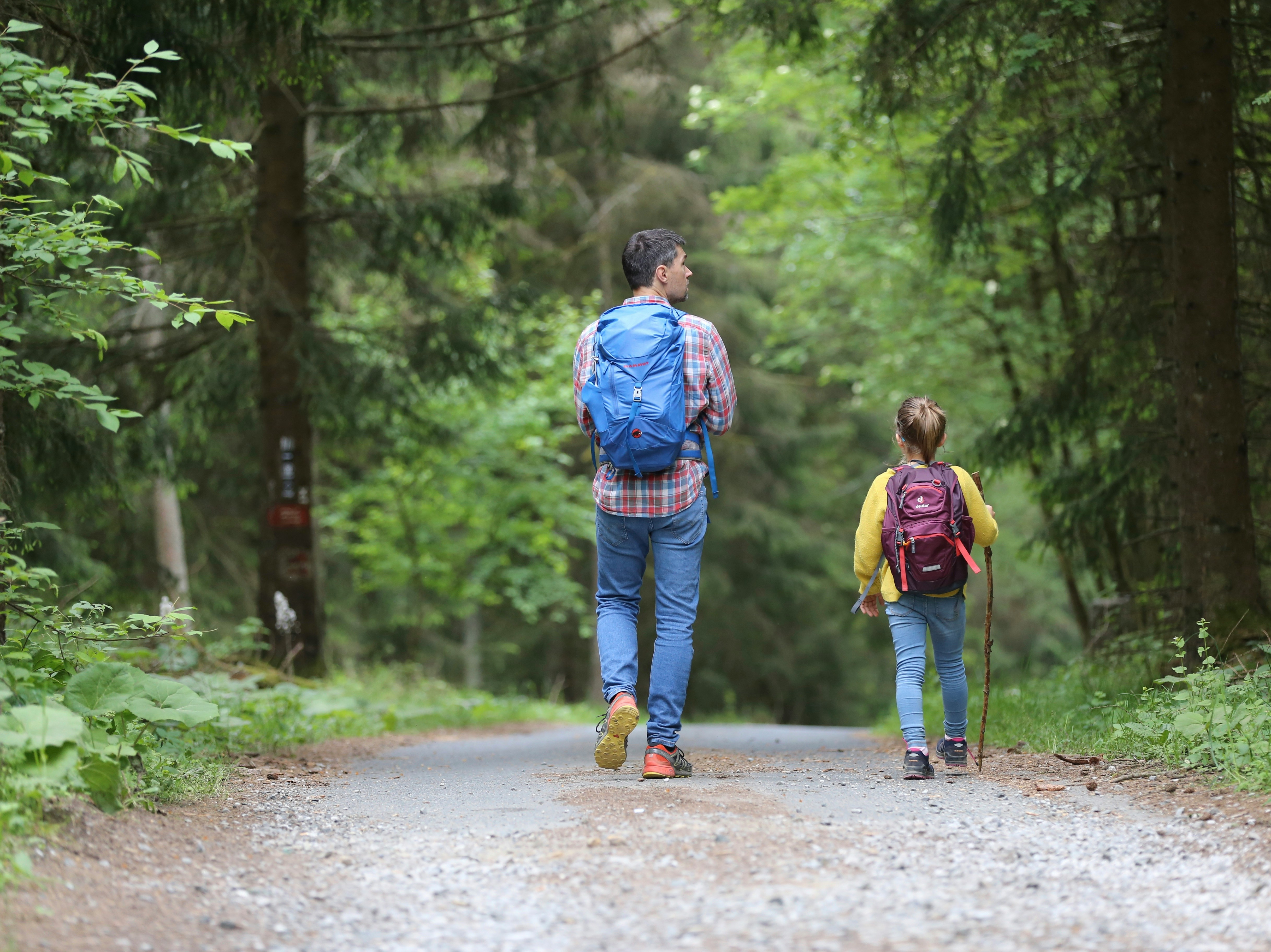 Father and young daughter hiking together on a forest path with backpacks