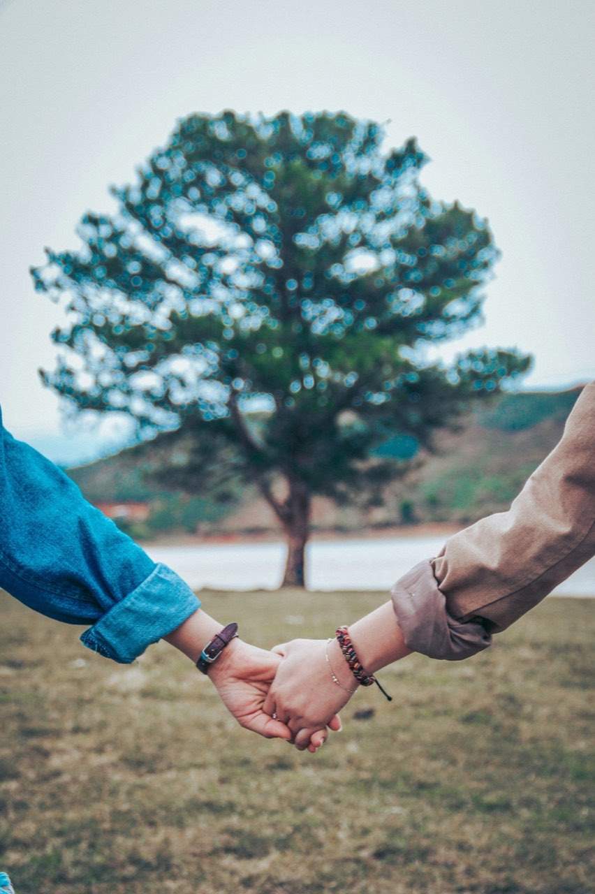 Two people holding hands in a field in front of a large tree