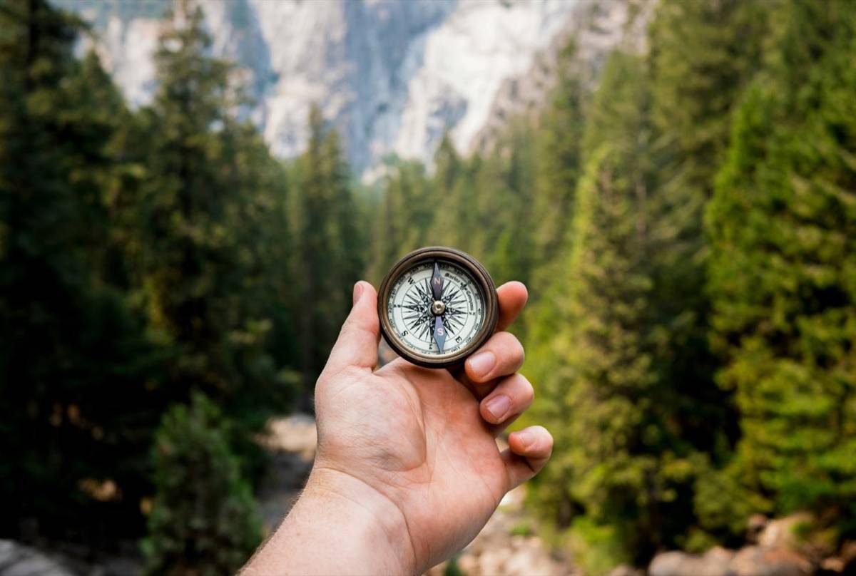 A hand holding a compass in front of green pine trees and a mountain